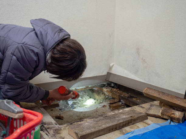 Best Mold Documentation for Insurance Claims  in Milford Square, PA